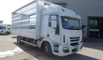 IVECO EUROCARGO 120E28 CENTINATO pieno