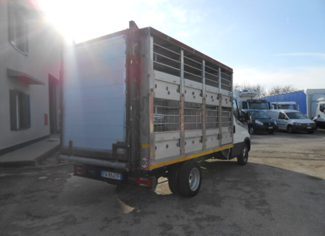 IVECO DAILY 35C15 TRASPORTO ANIMALI VIVI pieno