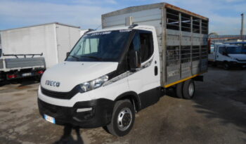 IVECO DAILY 35C15 TRASPORTO ANIMALI VIVI pieno