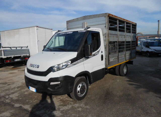 IVECO DAILY 35C15 TRASPORTO ANIMALI VIVI pieno