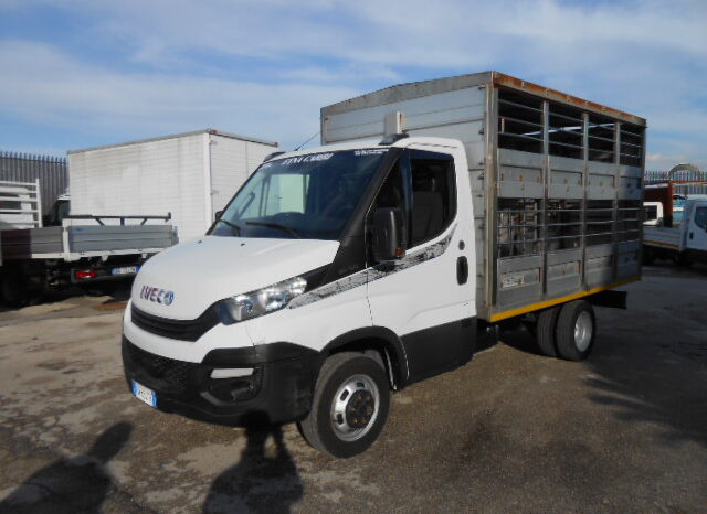 IVECO DAILY 35C15 TRASPORTO ANIMALI VIVI pieno