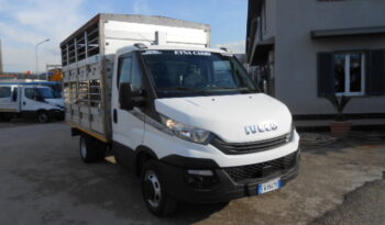 IVECO DAILY 35C15 TRASPORTO ANIMALI VIVI pieno