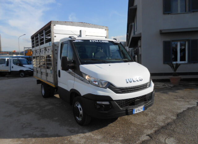 IVECO DAILY 35C15 TRASPORTO ANIMALI VIVI pieno