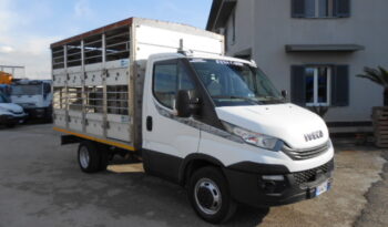 IVECO DAILY 35C15 TRASPORTO ANIMALI VIVI pieno