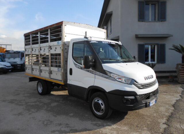 IVECO DAILY 35C15 TRASPORTO ANIMALI VIVI pieno