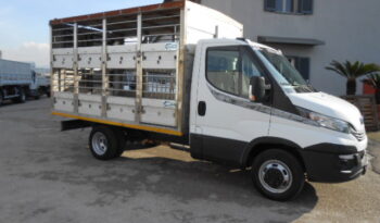 IVECO DAILY 35C15 TRASPORTO ANIMALI VIVI pieno