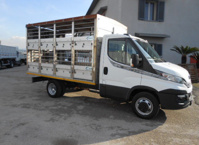 IVECO DAILY 35C15 TRASPORTO ANIMALI VIVI pieno